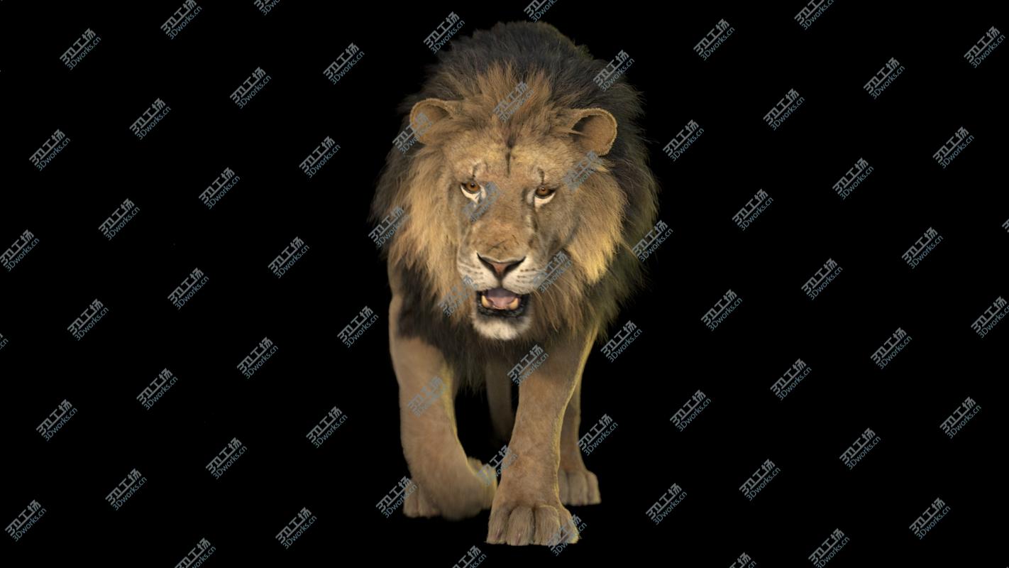 images/goods_img/20210113/3D Lion ANIMATED RedShift/5.jpg